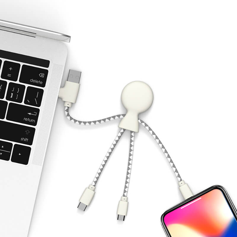 Mr Bio • Cable Multi connecteurs USB C, USB, Lighting et USB