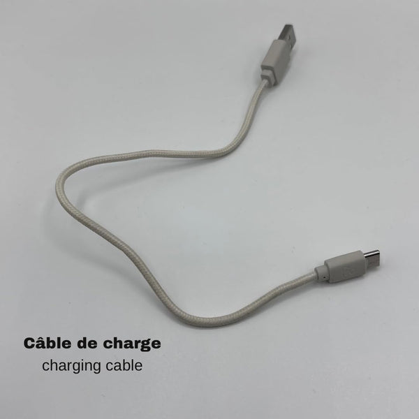 Pack 2 Câble USB-C Court