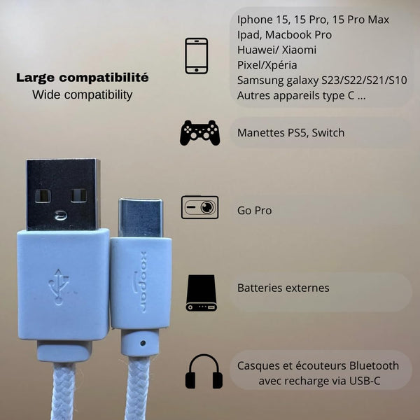 Pack 2 Câble USB-C Court