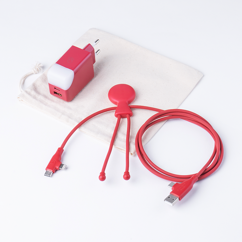PACK CHARGE MOBILITY