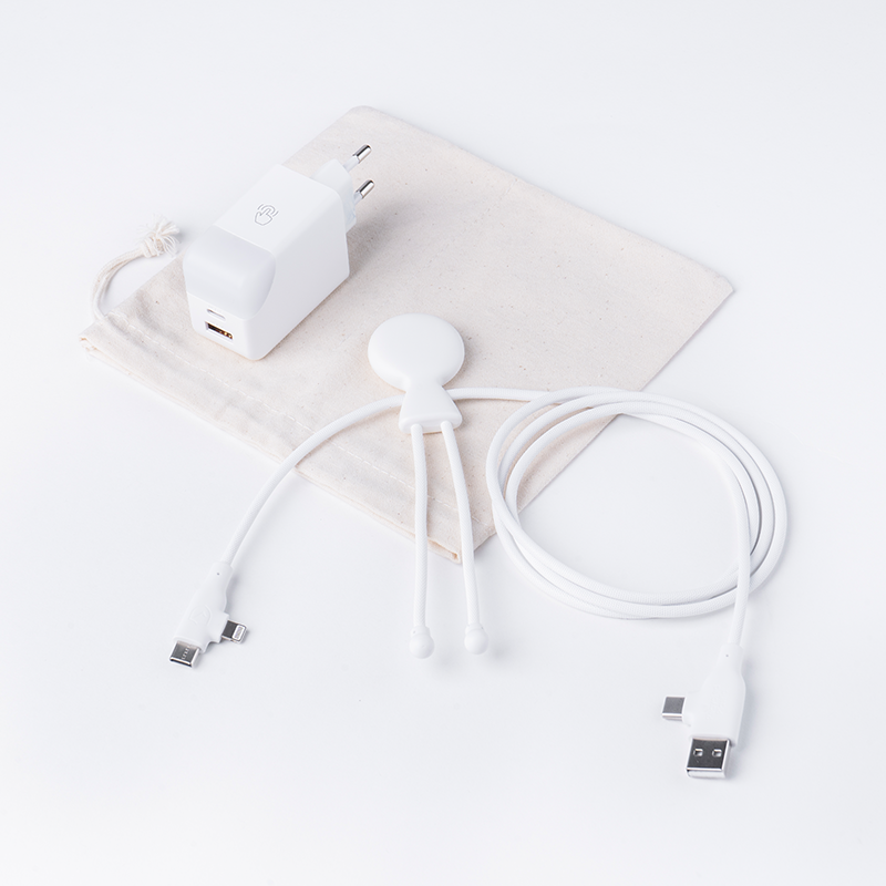 PACK CHARGE MOBILITY